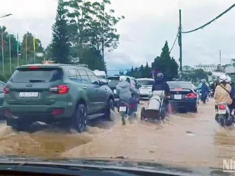 Khẩn trương triển khai các biện pháp hạn chế tình trạng ngập cục bộ tại Đà Lạt