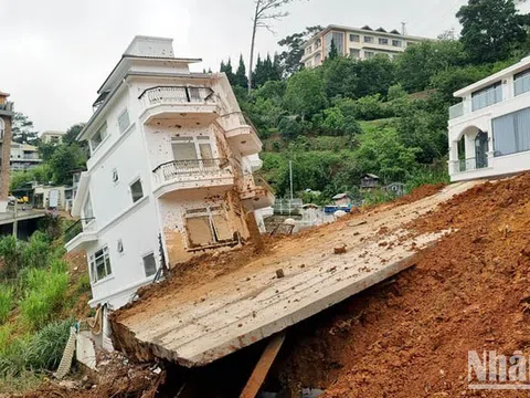 Khẩn trương cứu nạn, điều tra nguyên nhân vụ sạt lở nghiêm trọng tại Đà Lạt