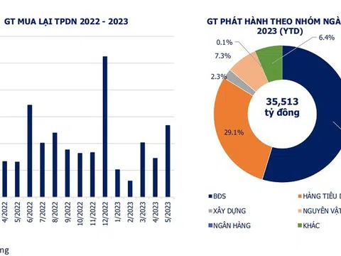 Trái phiếu doanh nghiệp phát hành riêng lẻ “tái xuất”