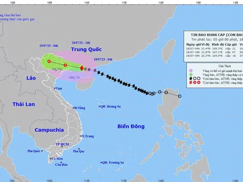 Bão số 1 cách Móng Cái 140km, gió giật cấp 14