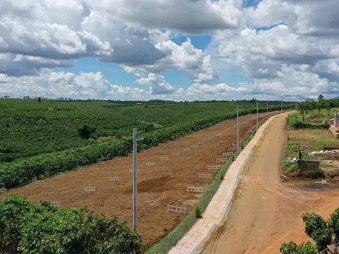 Một địa phương tại Lâm Đồng bất ngờ thu hồi văn bản tạm dừng chuyển mục đích sử dụng đất