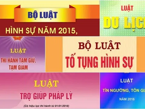 Rà soát, đề xuất sửa đổi, bổ sung các quy định bất cập, những vấn đề vướng mắc trong các luật hiện hành