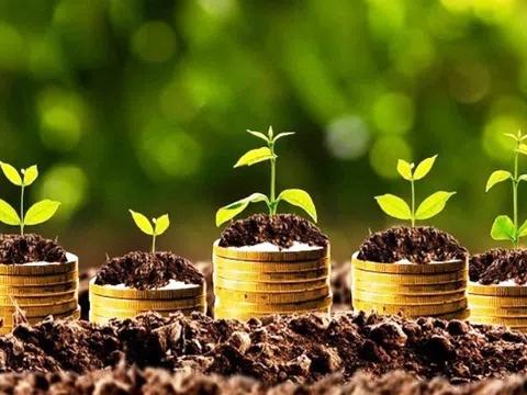 33 doanh nghiệp chốt trả cổ tức, tuần từ ngày 7 đến 11/8
