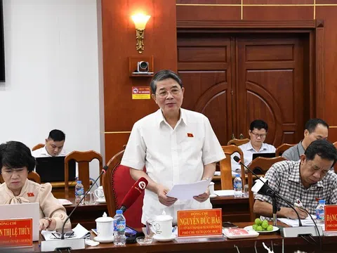 UBND tỉnh Cà Mau đề nghị ban hành giá mua điện chính thức cho các dự án điện gió, điện mặt trời