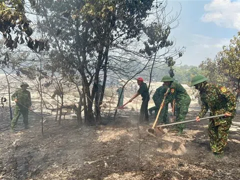 Thừa Thiên-Huế: Cháy rừng phòng hộ, khoảng 7,5ha bị thiệt hại