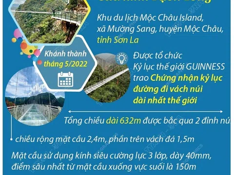 Tìm hiểu thông tin về bốn cây cầu kính ở Việt Nam