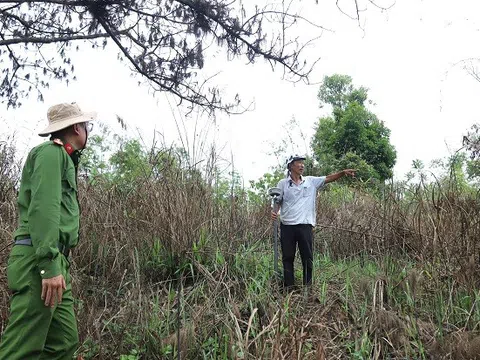 Khởi tố Trưởng phòng Quản lý rừng và nguyên Trưởng phòng Tài nguyên Môi trường