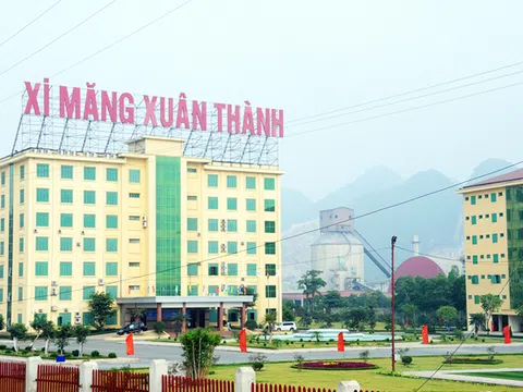 Xi măng Xuân Thành của em trai bầu Thụy kinh doanh ra sao?