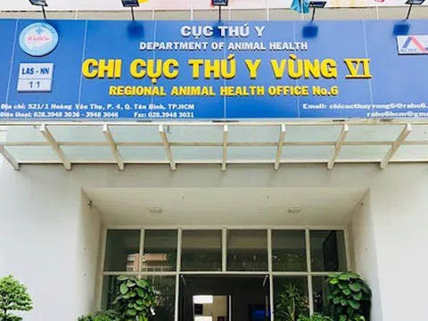 Khởi tố vụ án hình sự "Buôn lậu", "Đưa hối lộ", "Nhận hối lộ" xảy ra tại Công ty Hoàng Sa, Chi cục Thú y vùng VI và Trạm kiểm dịch động vật cảng - bưu điện