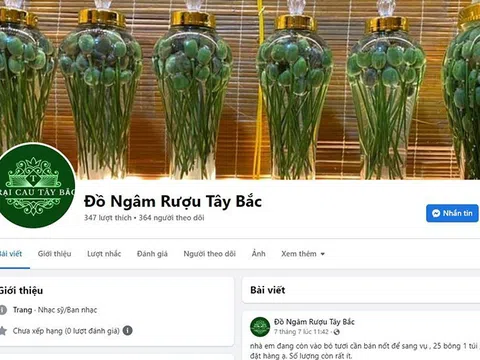 Ngăn chặn hành vi mua bán các sản phẩm từ cây thuốc phiện trên mạng