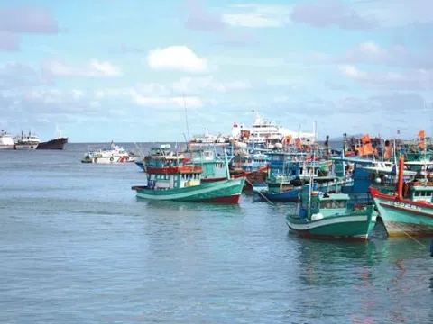 Hoạt động của người, phương tiện trong khu vực biên giới biển được quy định thế nào?