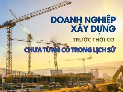 Loạt “ông lớn” Vinaconex, Coteccons, Fecon, Đèo Cả… đứng trước thời cơ chưa từng có