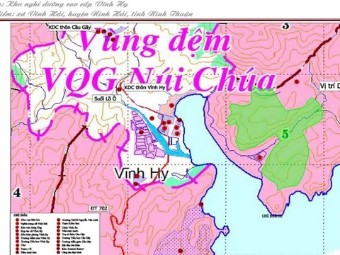 Dự án nghỉ dưỡng cao cấp của Syrena Việt Nam tác động đến 12ha rừng Vườn quốc gia Núi Chúa