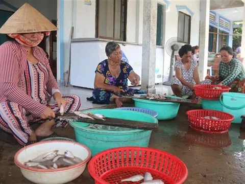 Ngăn ngừa ô nhiễm môi trường từ các cơ sở chế biến thủy sản quy mô nhỏ