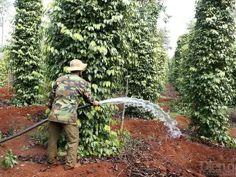 “Nhiều doanh nghiệp phản ánh lãi suất rẻ nữa cũng không vay”