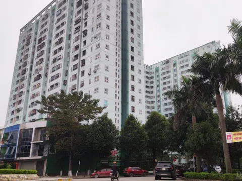 Vụ doanh nghiệp bị “trát” nộp thuế ở Nghệ An: “Trống đánh xuôi, kèn thổi ngược”?