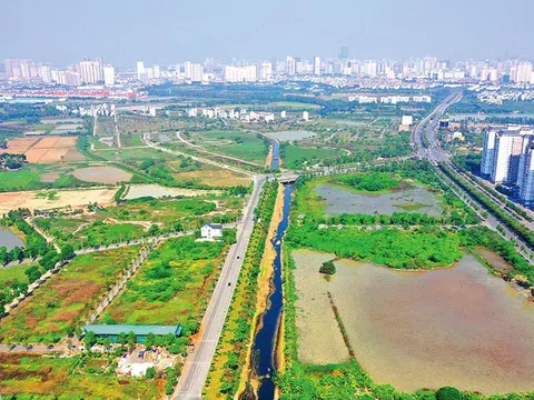 Luật Đất đai 2024: Quy định xử lý người vi phạm pháp luật trong quản lý đất đai