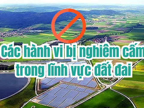 Luật Đất đai 2024: Các hành vi nào bị nghiêm cấm trong lĩnh vực đất đai?