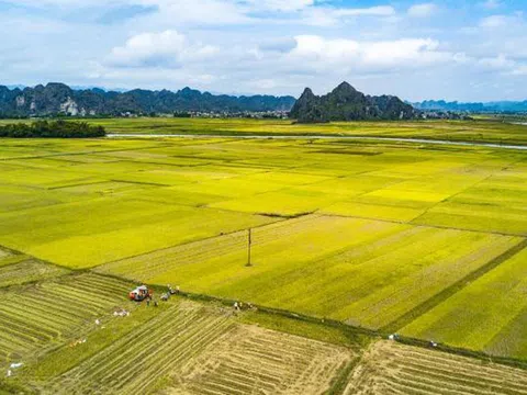 Quy định mới về tích tụ đất nông nghiệp