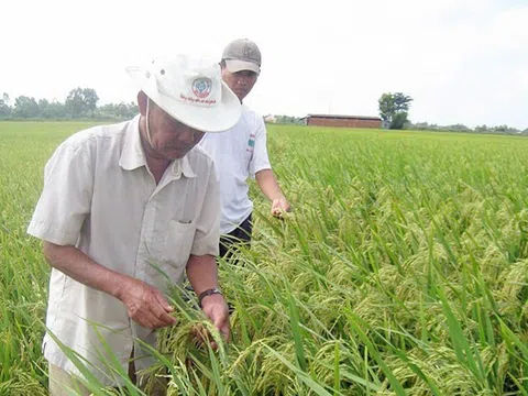 Khoa học, công nghệ ứng phó biến đổi khí hậu