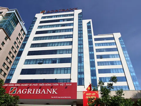 Một công ty có vốn điều lệ chỉ 12 tỷ đang nợ Agribank gần 200 tỷ đồng