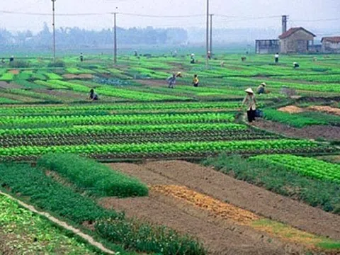 Hỗ trợ giải quyết việc làm, đào tạo nghề cho người có đất thu hồi