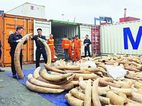 Mở rộng quy mô Chiến dịch Con rồng Mekong, tăng cường phát hiện sớm các đường dây buôn lậu xuyên quốc gia