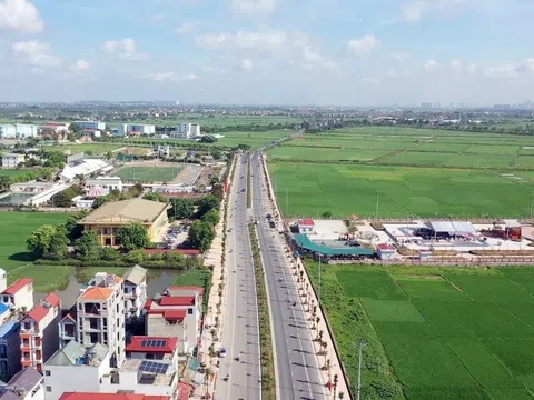 Hà Nội: Tạm dừng đấu giá 114 thửa đất tại huyện Thanh Oai