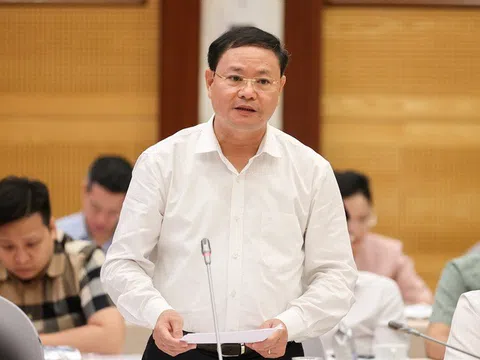 Bộ Tài nguyên và Môi trường: 'Trúng đấu giá đất tăng cao so với giá khởi điểm là đúng thực tế'