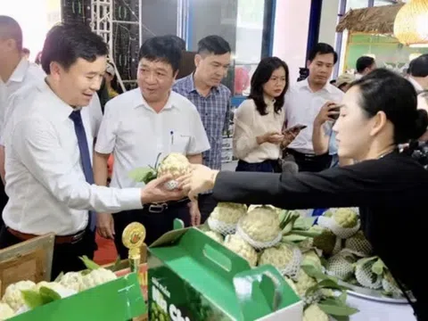 Xúc tiến thương mại tạo đầu ra bền vững cho nông sản miền núi