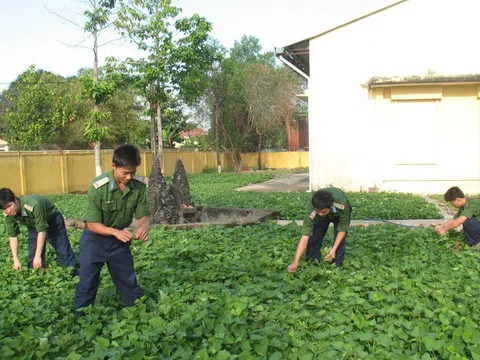 Phát huy vai trò, trách nhiệm của đội ngũ sĩ quan trẻ trong quân đội theo tinh thần “7 dám”