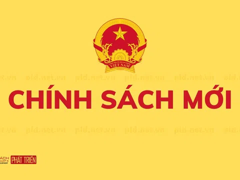 Chính sách mới có hiệu lực từ tháng 11/2024