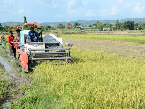 Điều kiện chuyển mục đích sử dụng đất trồng lúa nhỏ hơn 2 ha sang mục đích khác tại Bình Thuận từ 11/11