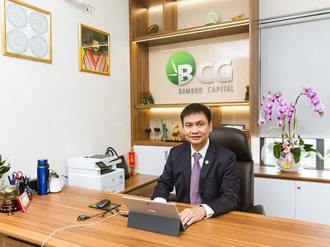 Vì sao cựu Chủ tịch Bamboo Capital Nguyễn Hồ Nam bị khởi tố?