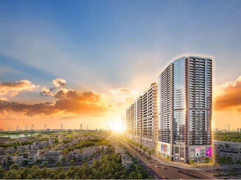 Lợi nhuận Sunshine Group đạt 41,9 tỷ trong quý I/2025