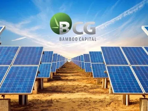 Bamboo Capital lý giải chậm báo cáo tài chính