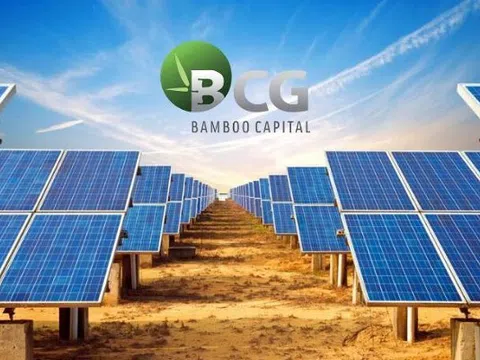 Cổ phiếu Bamboo Capital chính thức bị hạn chế giao dịch từ 27/5