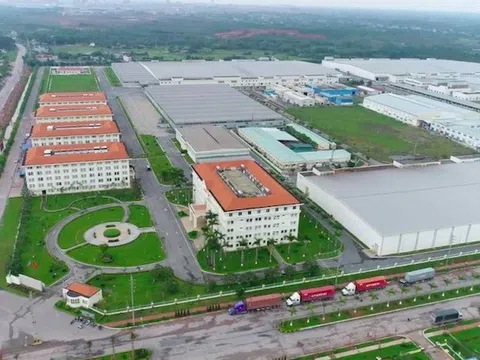 Lộ diện nhà đầu tư cụm công nghiệp 50 ha tại Móng Cái