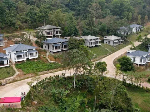 Hòa Bình cho phép chuyển đổi hơn 3,5ha đất rừng phát triển khu biệt thự nhà vườn, du lịch sinh thái gần 800 tỷ đồng