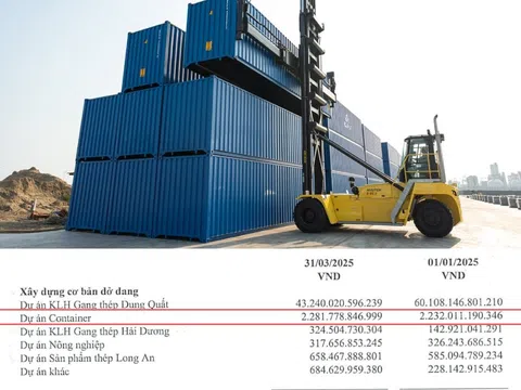 Container “made in Vietnam” có gì mà lại được nhiều doanh nghiệp logistics săn đón?