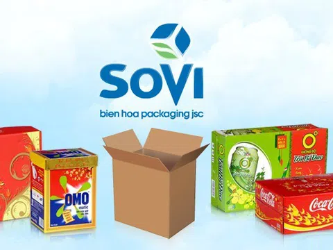 Bao bì Biên Hòa bị phạt 620 triệu đồng, buộc phải di dời