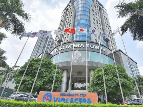 Động thái mới hé lộ tham vọng dài hạn của Viglacera