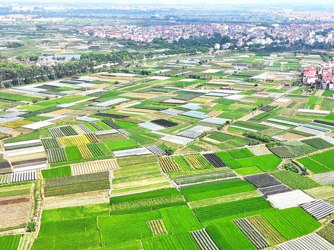 Hà Nội giao hơn 500m2 đất tại Mê Linh cho dự án Khu nhà ở Tiến Phong