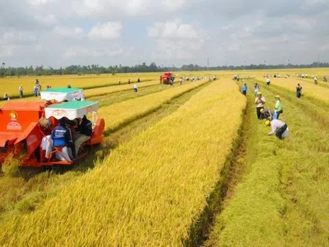 Giải pháp phù hợp và cần thiết