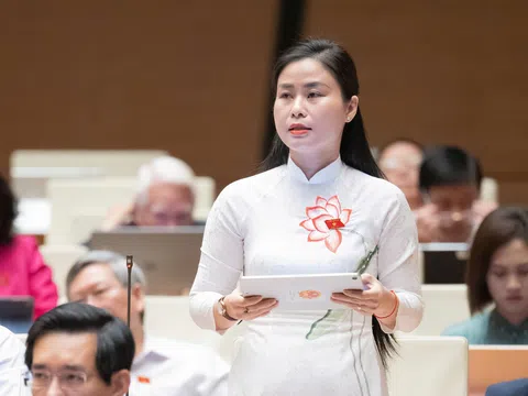 Đại biểu Quốc hội kiến nghị nhiều giải pháp tổng thể, đồng bộ phát triển các vùng kinh tế