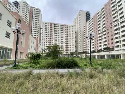 Cảnh báo pháp lý mới: 7 hành vi vi phạm đất đai có thể bị khởi tố từ 25/1/2026