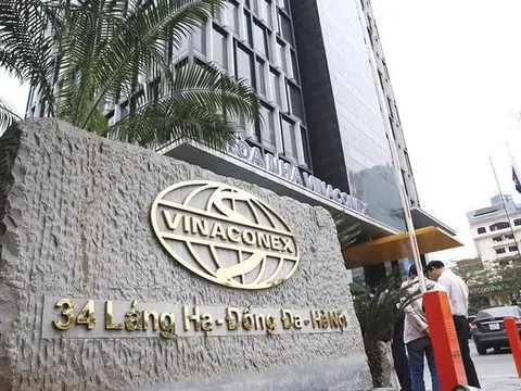 Vinaconex lãi lớn, mang 11.500 tỷ đồng nhàn rỗi đi cho vay