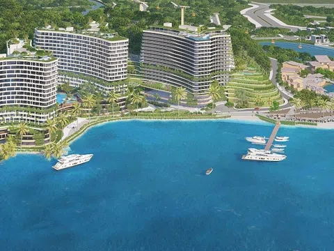 Vinaconex ITC phát sinh hơn 600 tỷ đồng tiền đặt cọc sau khi về tay MIK Group, nhưng vẫn chưa thoát chuỗi thua lỗ