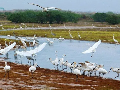 Ninh Bình sắp có khu sinh thái hơn 464 tỷ đồng