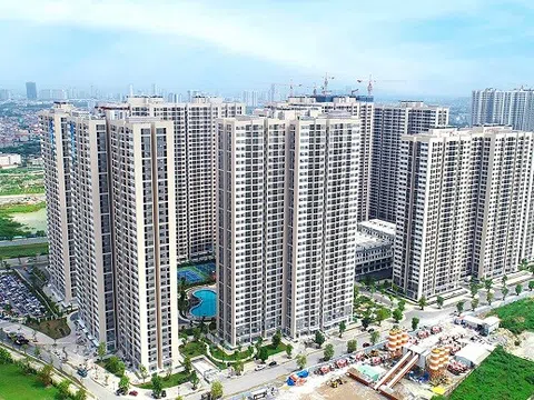 Đầu tư Xây dựng Thái Sơn: Lợi nhuận lao dốc gần 99%